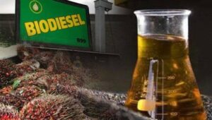 Biodiesel